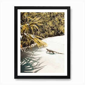 Iguana Near Beach Art Print