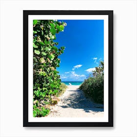 Miami 1 Art Print