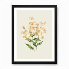 Orange Orchids Art Print