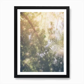 Botanical Reflections In Water Art Print