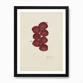 Five Red Grapes Art Print