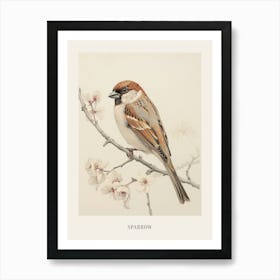 Vintage Bird Drawing Sparrow 1 Poster Art Print