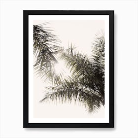 Palm Leaf Trees Art Print