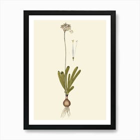 29 Art Print