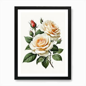 Vintage Galleria Style Rose Art Painting 6 Art Print