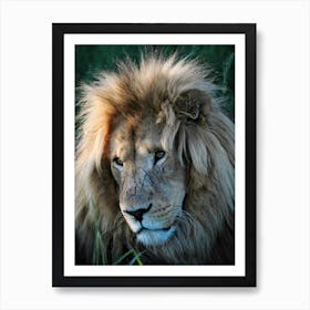 Lion Portrait Color Art Print