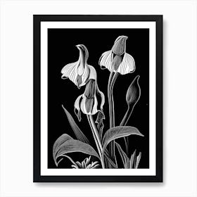 Lady's Slipper Wildflower Linocut Art Print