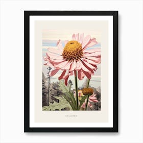 Flower Illustration Gaillardia 1 Poster Art Print