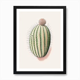 Pincushion Cactus Marker Art 1 Art Print