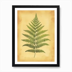 Vintage Illustration Boston Fern 4 Art Print