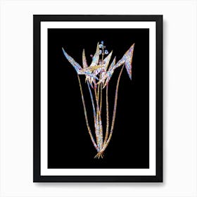 Stained Glass Arrowhead Mosaic Botanical Illustration on Black n.0353 Art Print