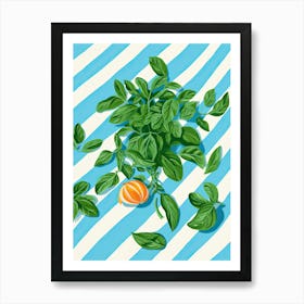 Basil Summer Illustration 6 Art Print