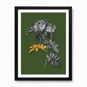 Vintage Shining Rosa Lucida Black and White Gold Leaf Floral Art on Olive Green n.0643 Art Print