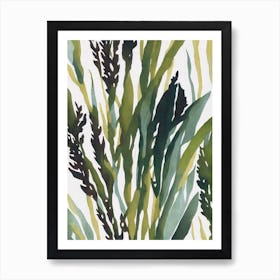 Acropora Sarmentosa Vintage Graphic Watercolour Art Print