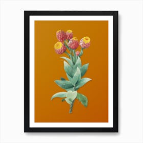 Vintage Cudweeds Botanical on Sunset Orange Art Print