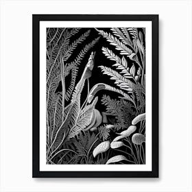 Hare S Foot Fern Linocut Art Print