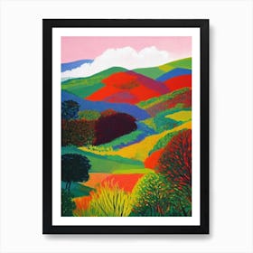 Addo Elephant National Park 1 South Africa Abstract Colourful Art Print