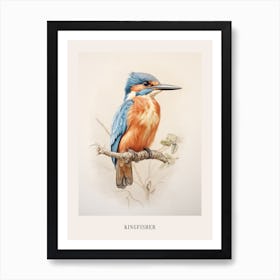 Vintage Bird Drawing Kingfisher 1 Poster Art Print