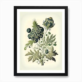 Skullcap Herb Vintage Botanical Art Print
