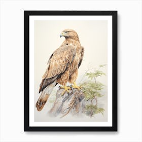 Vintage Bird Drawing Eagle 1 Art Print