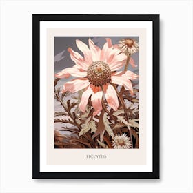 Floral Illustration Edelweiss 2 Poster Art Print