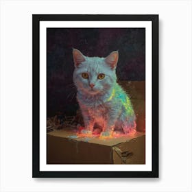 Cat In A Box 11 Art Print