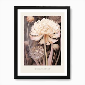 Floral Illustration Queen Annes Lace 2 Poster Art Print