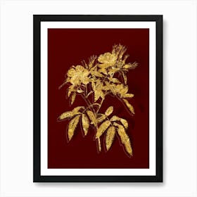 Vintage Pink Swamp Roses Botanical in Gold on Red n.0570 Art Print