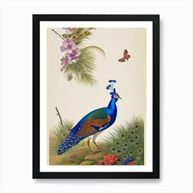 Peacock James Audubon Vintage Style Bird Art Print