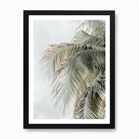 Neutral Palm Leaves Art Print