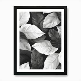 Black And White Tropical Leaves 2 Art Print