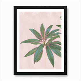 Pink And Green Plant Tropical Pink Diamond Cordylines - left of 2 pair Art Print