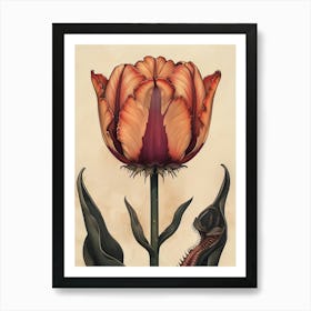 Floral Art 0008 Flower Single 0012 Fine Flowers 0006 Bp6586 An Old School Botanic Detailed Drawing Of A Carnivorou 763cd Art Print