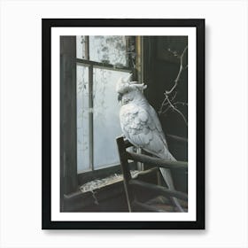 Cockatoo By The Window Art Print