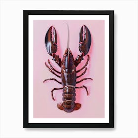 Lobster On Pink Background Art Print