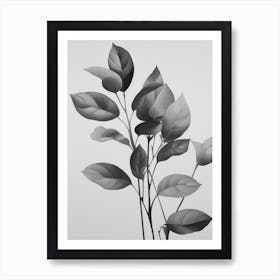 Black And White Leaf Sketch Art Print