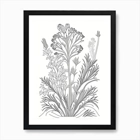 Valerian Herb William Morris Inspired Line Drawing 3 Art Print