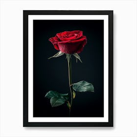 Single Red Rose On Black Background 37 Art Print