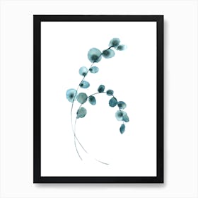 Blue Catkins Botanical Art Art Print