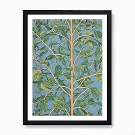 Quercus Rubra 2 tree Vintage Botanical Art Print