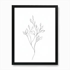 Line Drawing Of A Branch Art Print