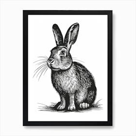 Argente Blockprint Rabbit Illustration 2 Art Print