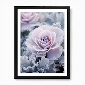 Frosty Botanical Ornamental Cabbage Art Print