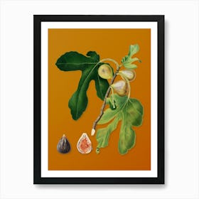 Vintage Figs Botanical on Sunset Orange n.0754 Art Print