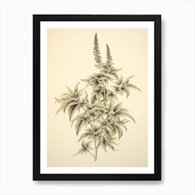 Yomogi Japanese Mugwort Vintage Japanese Botanical Art Print