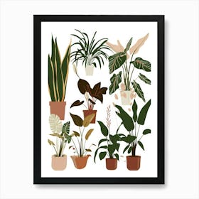 Houseplants In Pots 2 Art Print