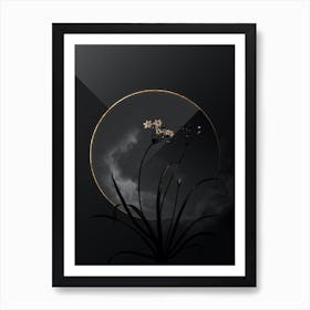 Shadowy Vintage Allium Fragrans Botanical in Black and Gold n.0150 Art Print