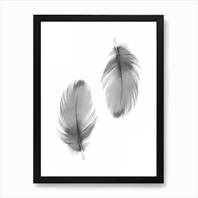 Double Feathers Art Print