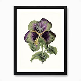 Pansy Leaf Vintage Botanical 2 Art Print