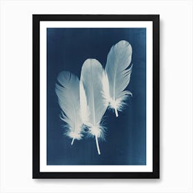 Feathers Art Print